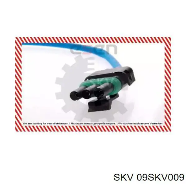 09SKV009 SKV