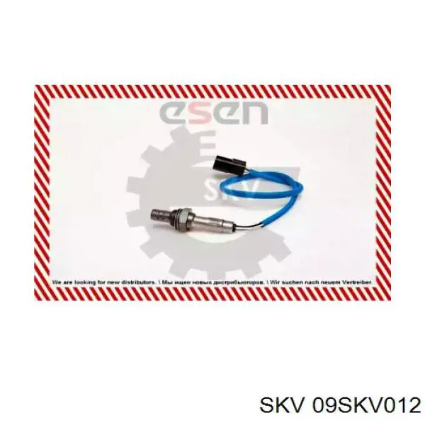 09SKV012 SKV