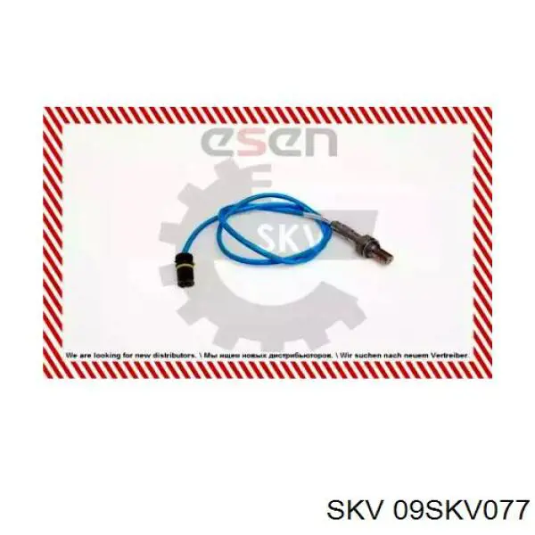 09SKV077 SKV sonda lambda, sensor de oxígeno antes del catalizador derecho