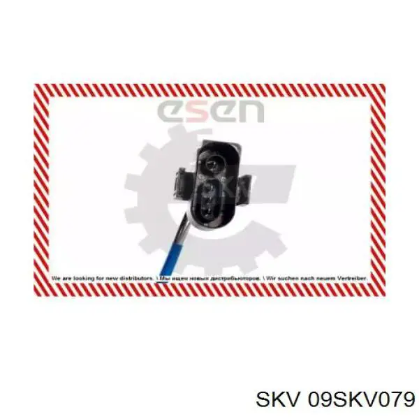 09SKV079 SKV sonda lambda, sensor de oxígeno despues del catalizador izquierdo