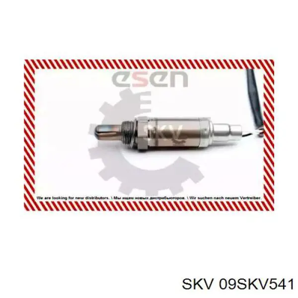 09SKV541 SKV