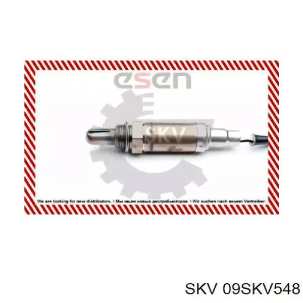 09SKV548 SKV