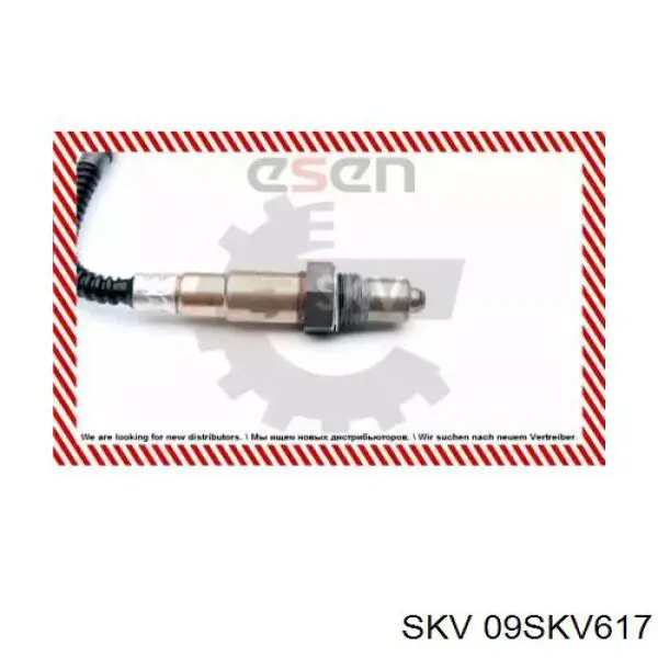 09SKV617 SKV