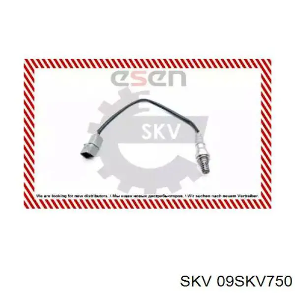 09SKV750 SKV sonda lambda, sensor de oxígeno antes del catalizador derecho