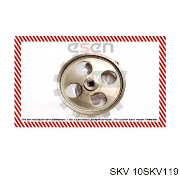 Bomba de dirección asistida  SKV 10SKV119 precio, desde 27,59 EUR