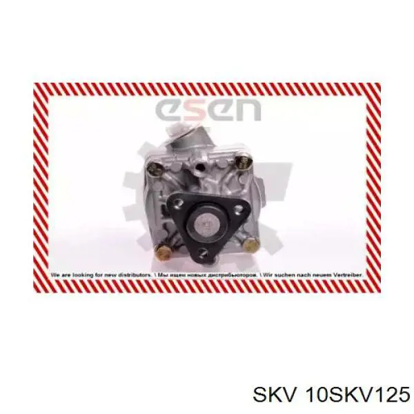 10SKV125 SKV Bomba hidráulica de dirección