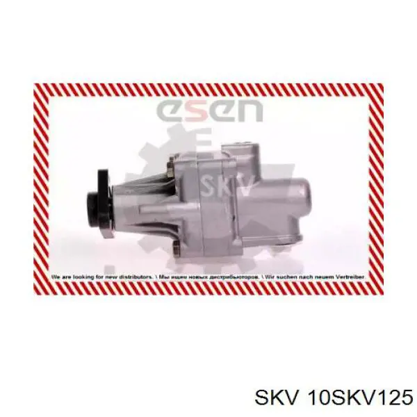 Bomba de dirección asistida  SKV 10SKV125 precio, desde 46,46 EUR