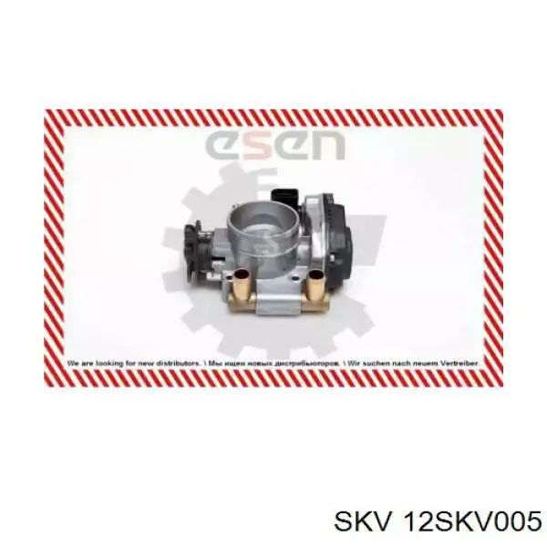 Cuerpo de aceleración completo VAG 058133063B precio, desde 123,41 EUR