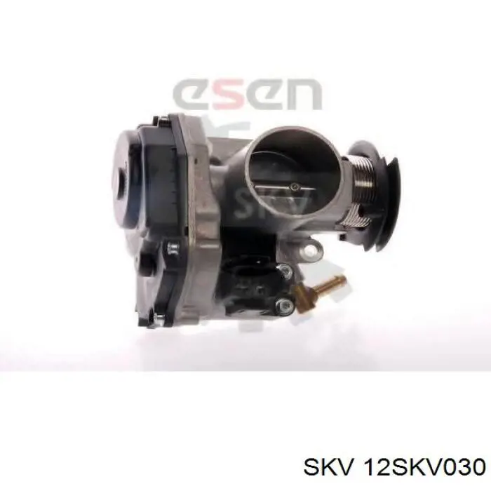 Cuerpo de mariposa completo Audi A2 8Z0