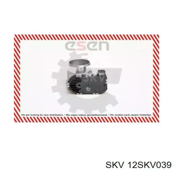 Cuerpo de aceleración completo SKV 12SKV039 precio, desde 56,63 EUR