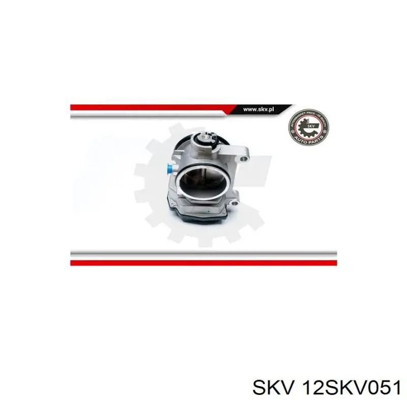 Cuerpo de aceleración completo SKV 12SKV051 precio, desde 155,31 EUR