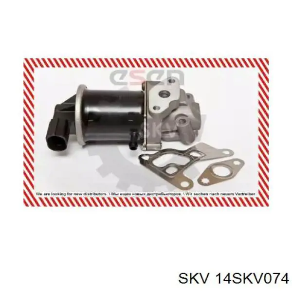 555459 ERA Válvula EGR