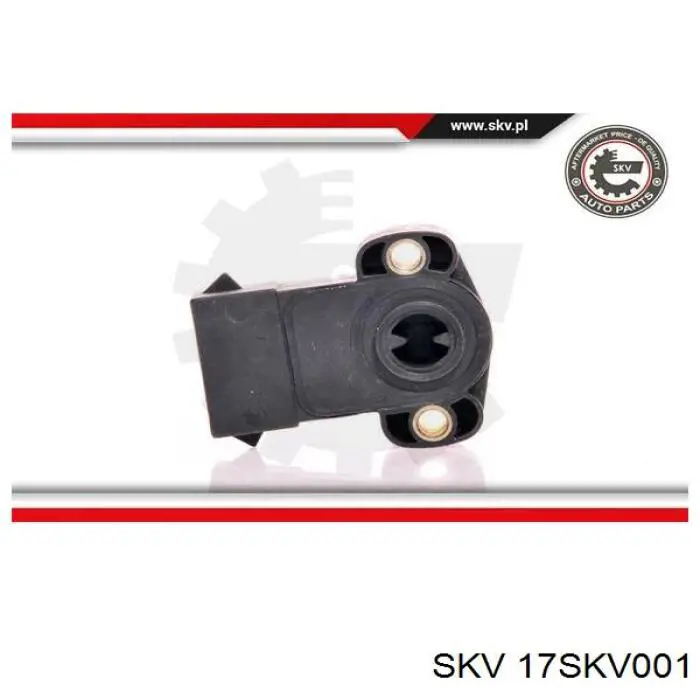 Sensor TPS 17SKV001 SKV