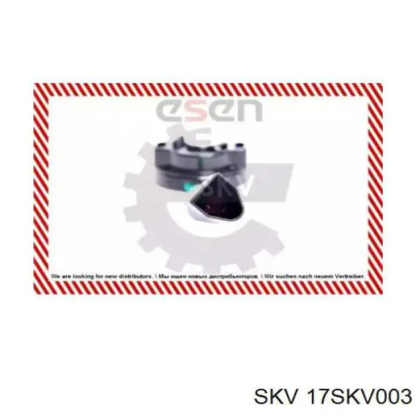 17SKV003 SKV sensor, posición mariposa