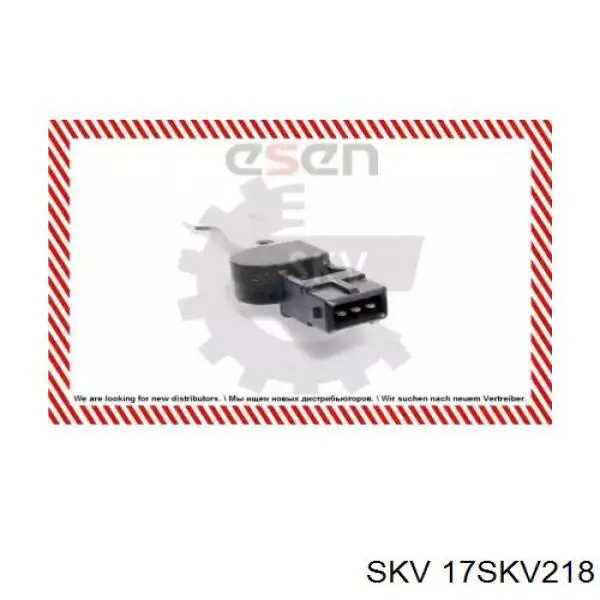 17SKV218 SKV sensor de posición del árbol de levas