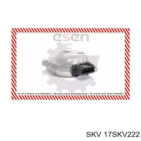 17SKV222 SKV