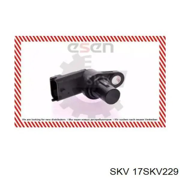 17SKV229 SKV