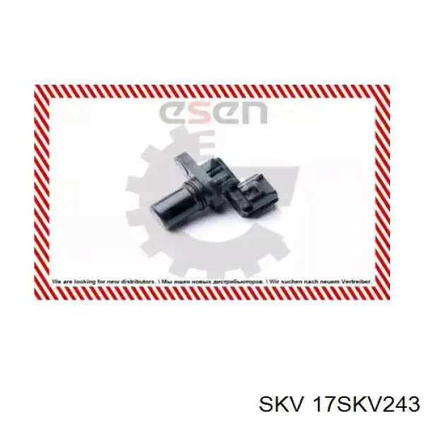 17SKV243 SKV sensor de posición del árbol de levas