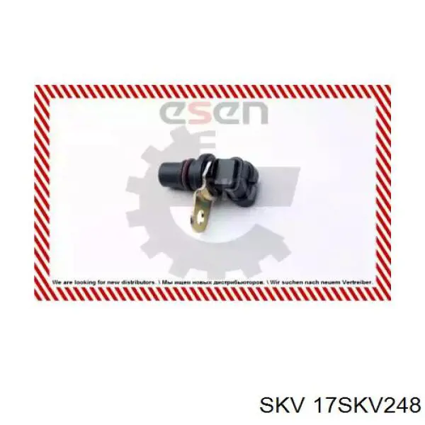 17SKV248 SKV sensor de posición del árbol de levas