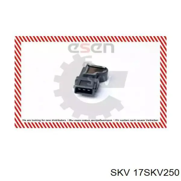 17SKV250 SKV sensor de posición del árbol de levas