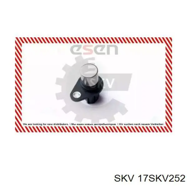 17SKV252 SKV sensor de posición del árbol de levas