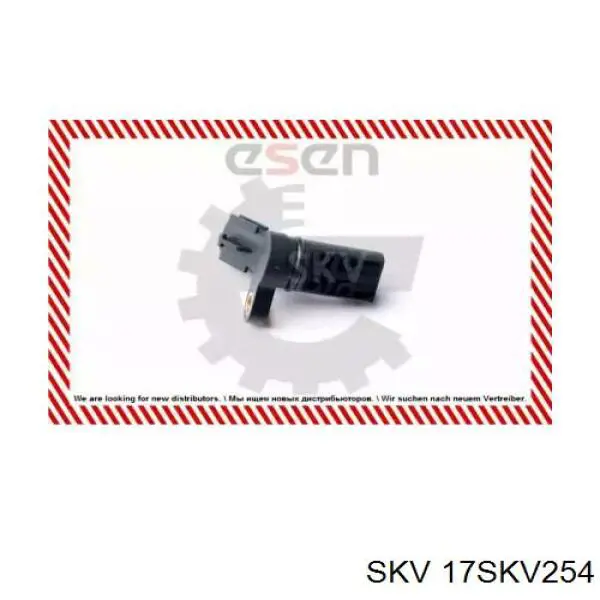 17SKV254 SKV sensor de posición del árbol de levas