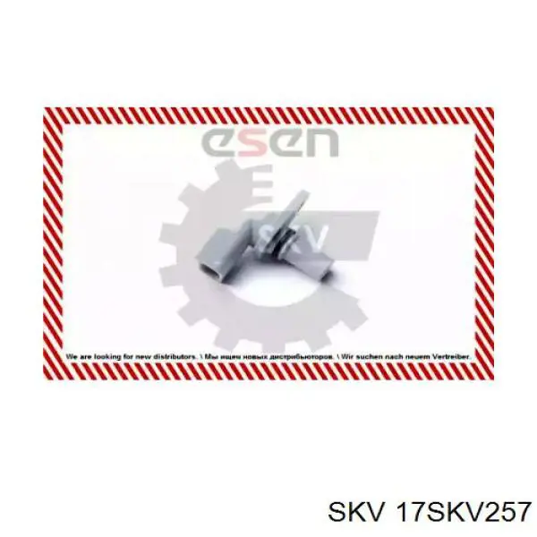 17SKV257 SKV sensor de posición del árbol de levas