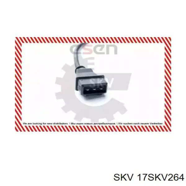 Volkswagen Passat 3A5, 351, 315