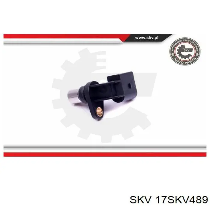 17SKV489 SKV sensor de posición del árbol de levas