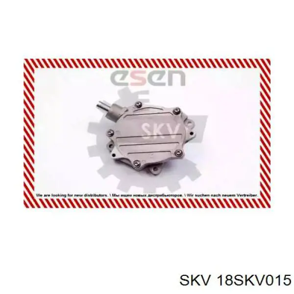 Bomba de vacío del sistema de frenado BMW 724807220 precio, desde 140,84 EUR