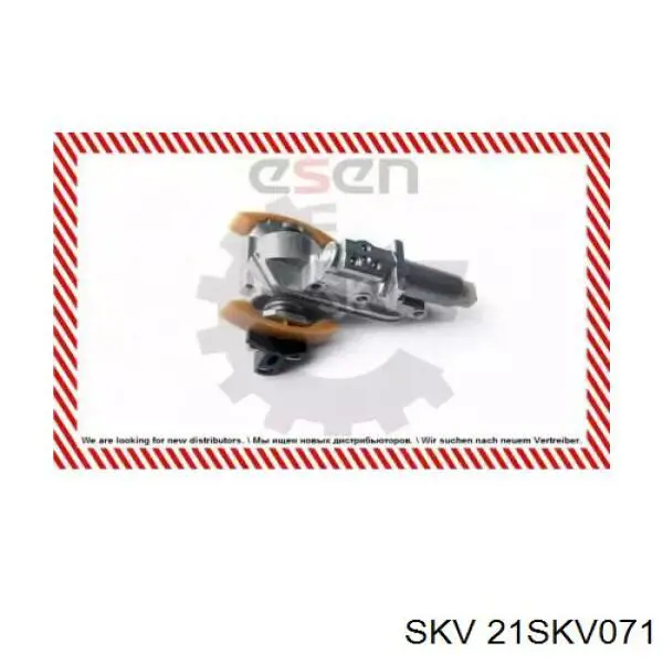 21SKV071 SKV tensor de cadena de distribución, árbol de levas, izquierdo