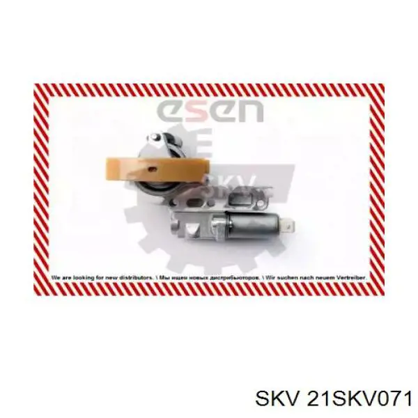 21SKV071 SKV Tensor de cadena de distribución del árbol de levas izquierdo