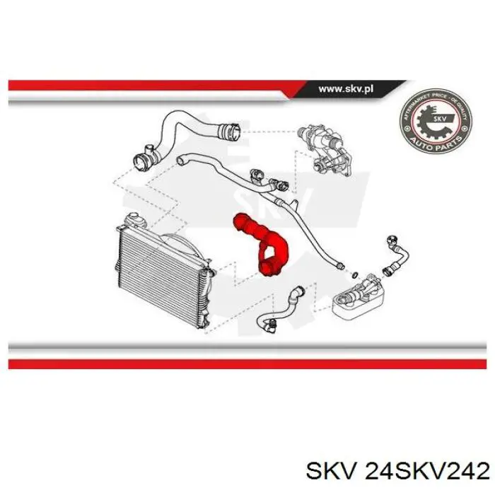 24SKV242 SKV tubería de radiador arriba