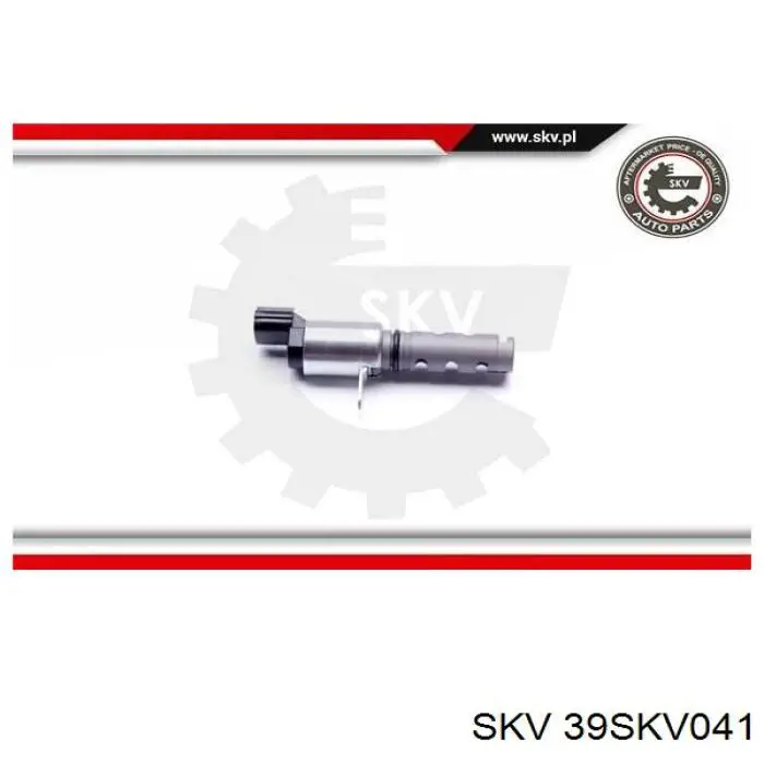 39SKV041 SKV Válvula control, ajuste de levas