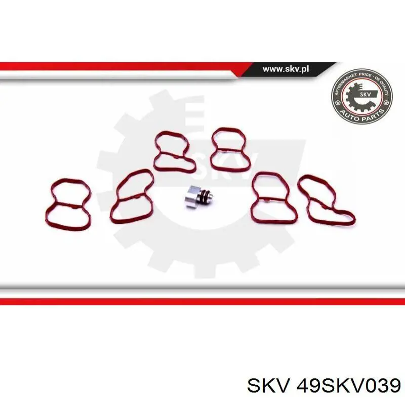 Colector de admisión 49SKV039 SKV