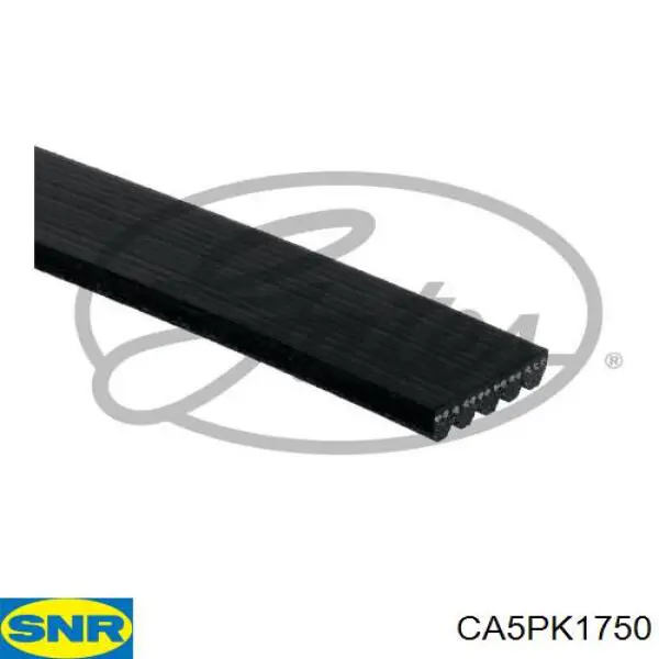 Correa de transmisión trapezoidal Renault (RVI) 8671018540 precio, desde 18,03 EUR
