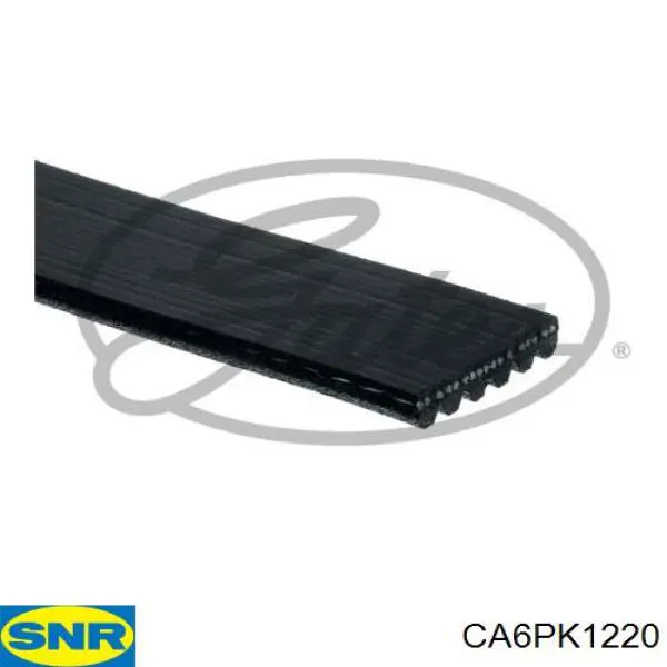 CA6PK1220 SNR correa trapezoidal