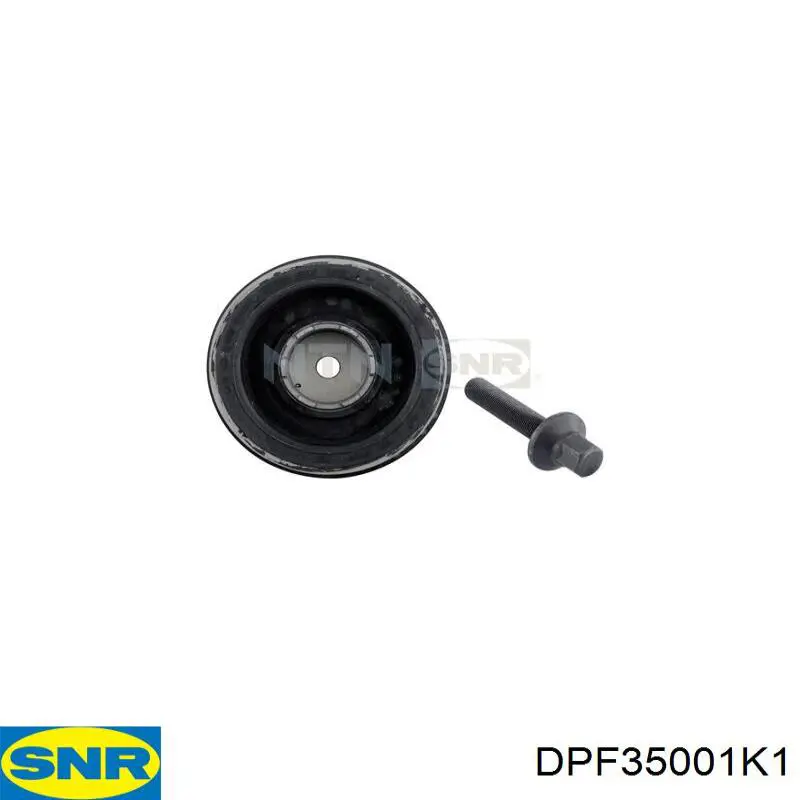 Polea del cigüeñal SNR DPF35001K1 precio, desde 120,89 EUR