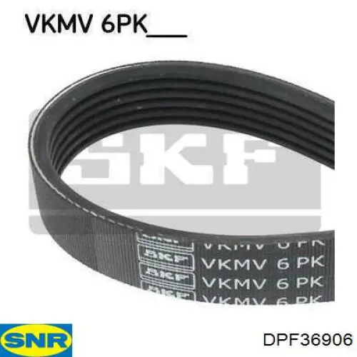 Comprar DPF36906 SNR La polea del cigüeñal