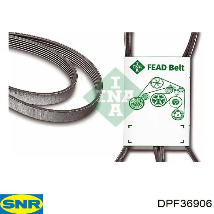 Polea del cigüeñal SNR DPF36906 precio, desde 143,93 EUR