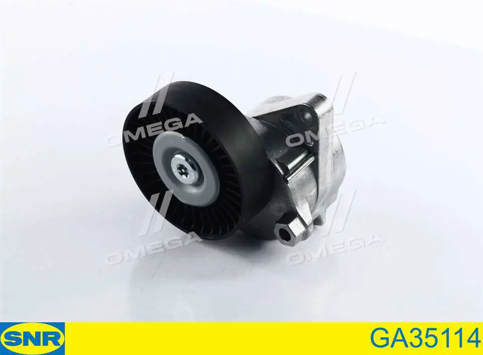 Tensor de la correa trapecial SNR GA35114 precio, desde 80,73 EUR