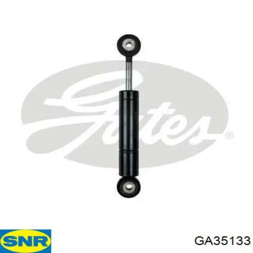 GA35133 SNR tensor de correa de el amortiguador
