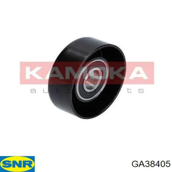 Tensor de la correa trapecial SNR GA38405 precio, desde 47,90 EUR
