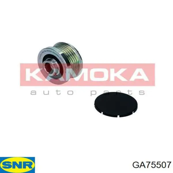 Poleas juego de piezas Nissan Qashqai 2 J11