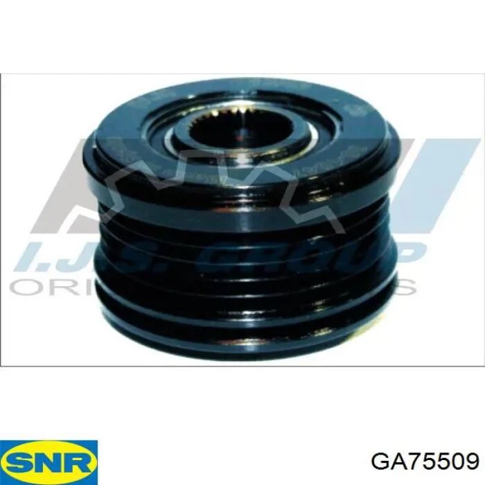 GA75509 SNR Rueda libre alternador 