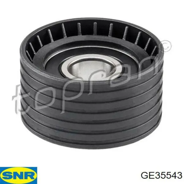 Rodillo intermedio de correa dentada Renault Espace 4 JK0