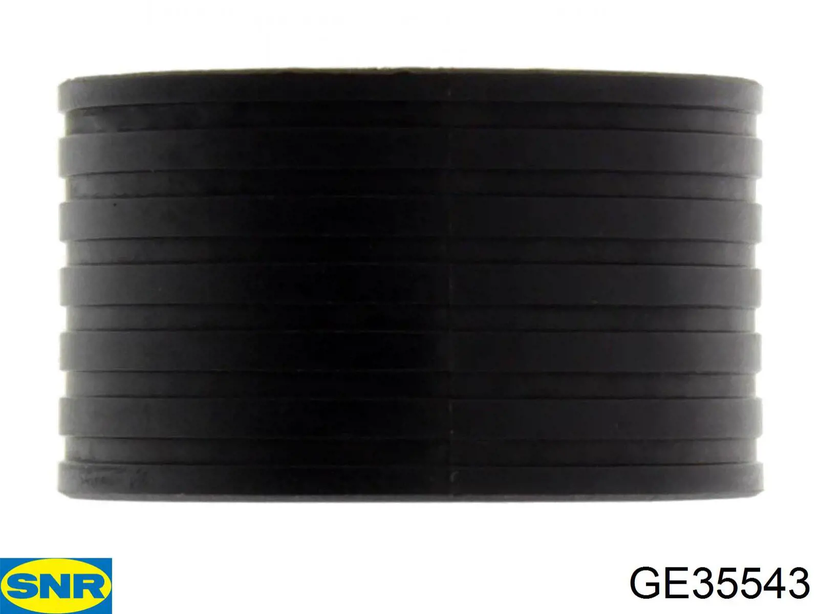 Rodillo intermedio de correa dentada Renault Espace 4 JK0