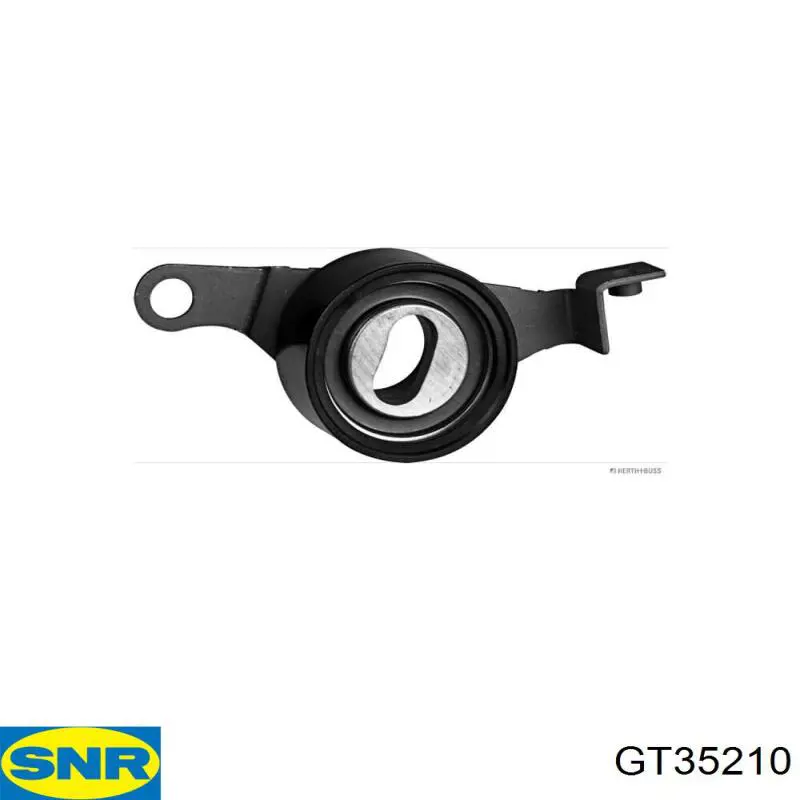 Tensor de la correa de distribución SNR GT35210 precio, desde 25,18 EUR