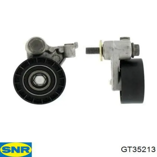 Tensor de la correa de distribución Ford 96MM6K254D2A