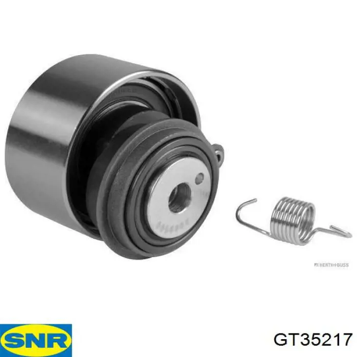Tensor de la correa de distribución SNR GT35217 precio, desde 50,46 EUR